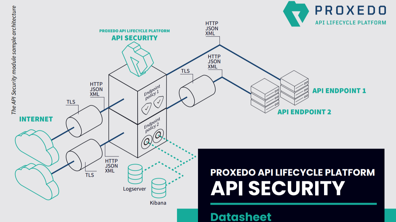 API Security datasheet
